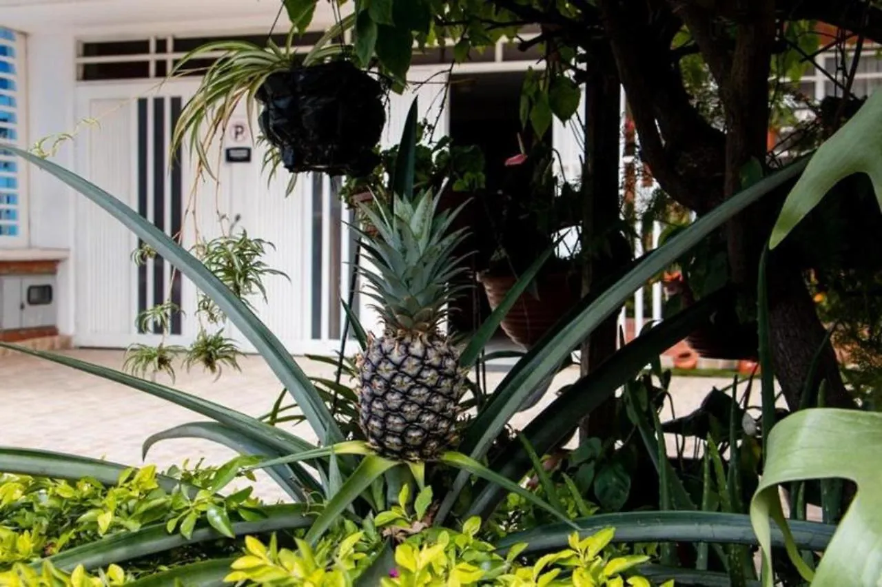 Hotel Hospedaje Caney 